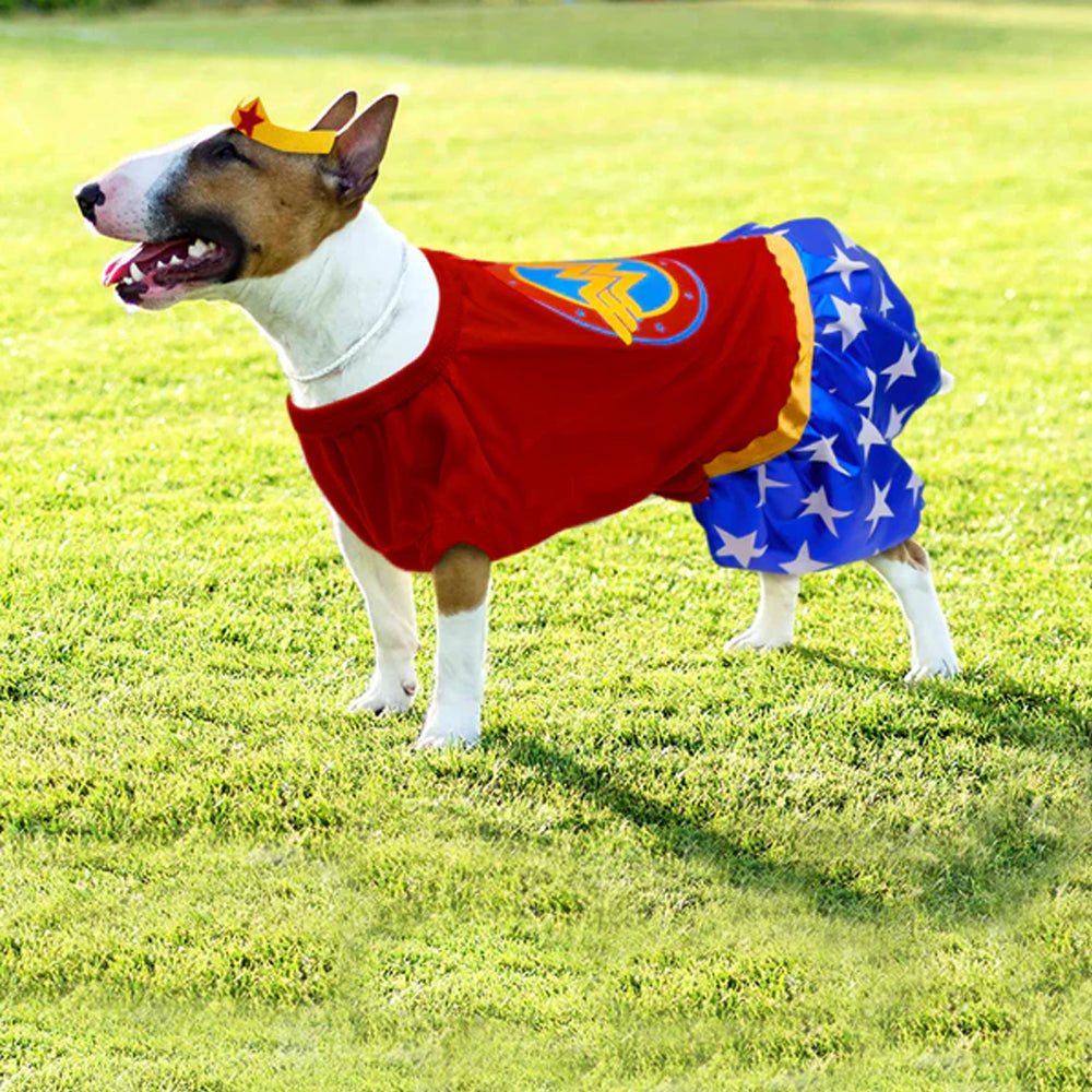 Disfraz Superheroe Halloween Perro Gato Mascotas