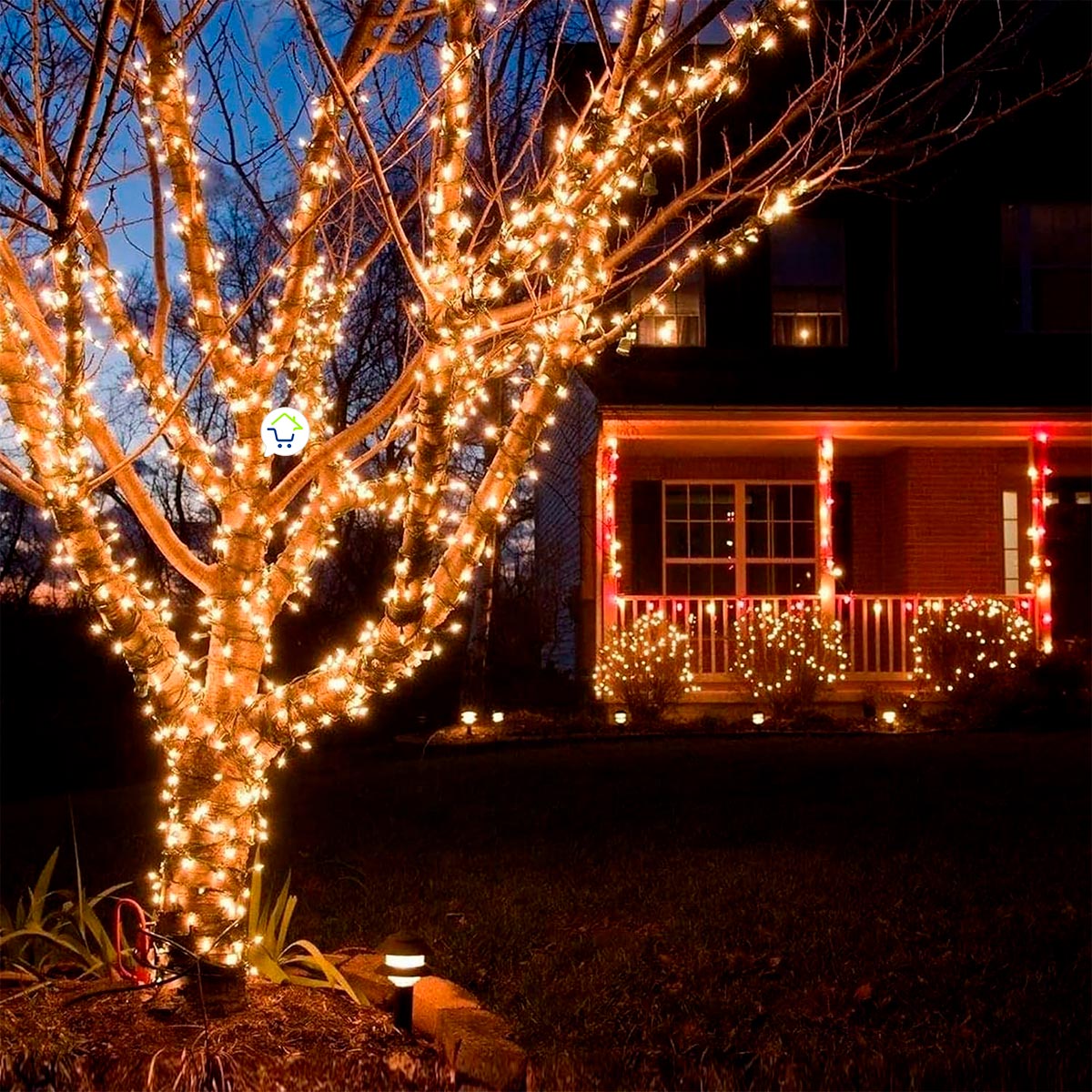 Luz Led Lineal 50 Metros 500 Led Luces Navidad Cable Verde 150